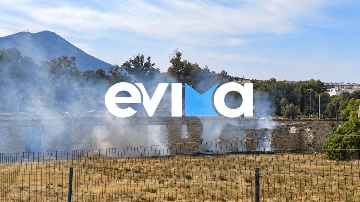 Φωτιά στη Χαλκίδα δίπλα σε κατοικημένη περιοχή: Φωτογραφίες από το σημείο 3 Φωτιά στη Χαλκίδα δίπλα σε κατοικημένη περιοχή: Φωτογραφίες από το σημείο