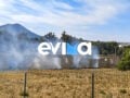 Φωτιά στη Χαλκίδα δίπλα σε κατοικημένη περιοχή: Φωτογραφίες από το σημείο