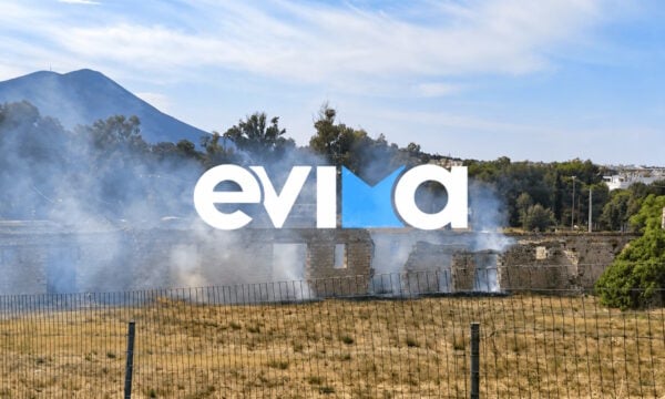 Φωτιά στη Χαλκίδα δίπλα σε κατοικημένη περιοχή: Φωτογραφίες από το σημείο