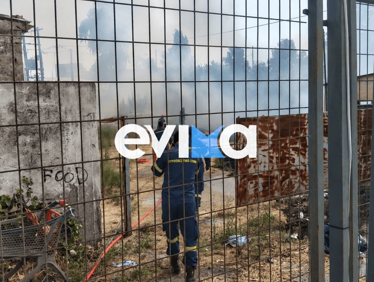 Φωτιά στη Χαλκίδα δίπλα σε κατοικημένη περιοχή: Φωτογραφίες από το σημείο 9 Φωτιά στη Χαλκίδα