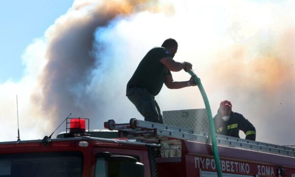 Χαλκιδική: Φωτιά εκδηλώθηκε σε αγροτοδασική περιοχή στη Νέα Καλλικράτεια