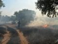 Φωτιά στο Πολυδάμειο Λάρισας: 3 αεροσκάφη και 1 ελικόπτερο στο σημείο