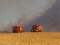 Πρέβεζα: Μεγάλη κινητοποίηση για φωτιά στο Θεσπρωτικό – Στη μάχη και εναέρια μέσα