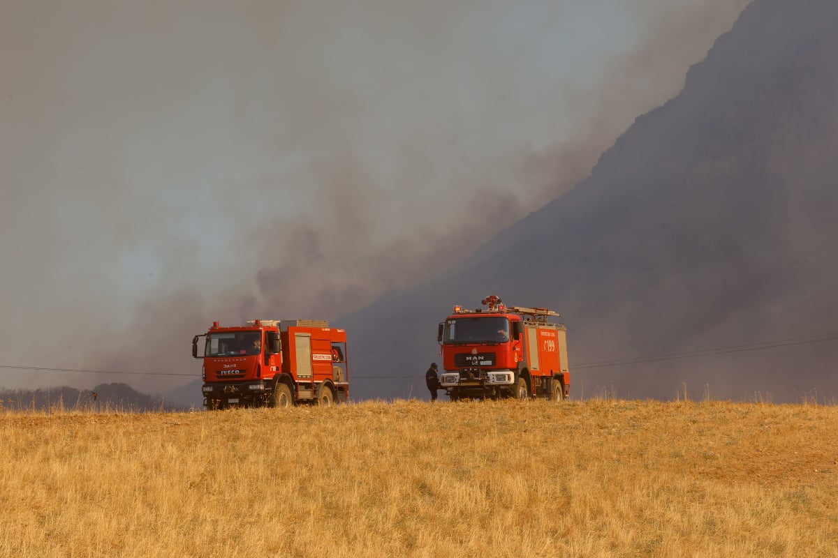 Πρέβεζα: Μεγάλη κινητοποίηση για φωτιά στο Θεσπρωτικό – Στη μάχη και εναέρια μέσα
