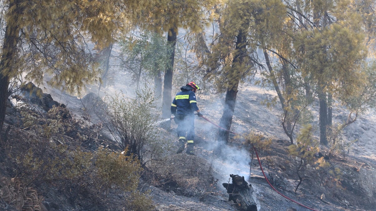 Φωτιά στο Άλσος Γαλατσίου: Μεγάλη κινητοποίηση της Πυροσβεστικής 1 Φωτιά στο Άλσος Γαλατσίου: Μεγάλη κινητοποίηση της Πυροσβεστικής