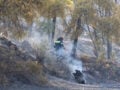 Φωτιά στο Άλσος Γαλατσίου: Μεγάλη κινητοποίηση της Πυροσβεστικής