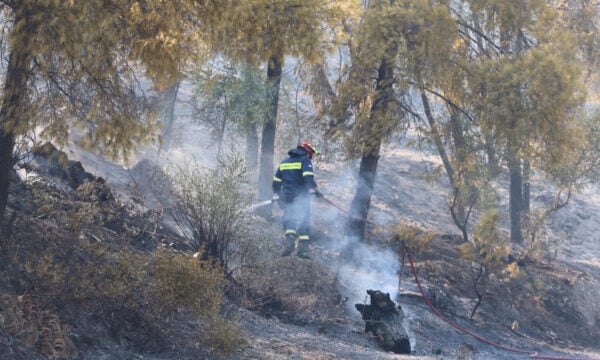 Φωτιά στο Άλσος Γαλατσίου: Μεγάλη κινητοποίηση της Πυροσβεστικής