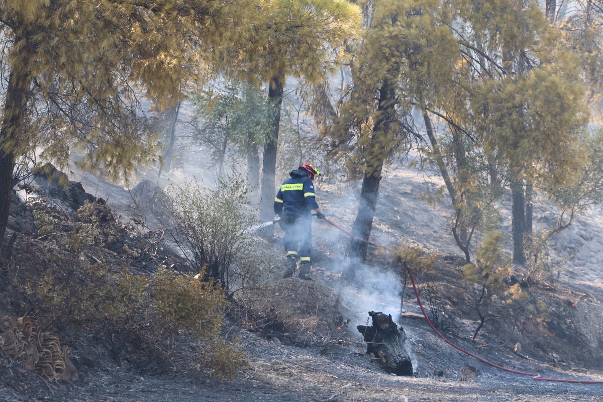 Φωτιά στο Άλσος Γαλατσίου: Μεγάλη κινητοποίηση της Πυροσβεστικής