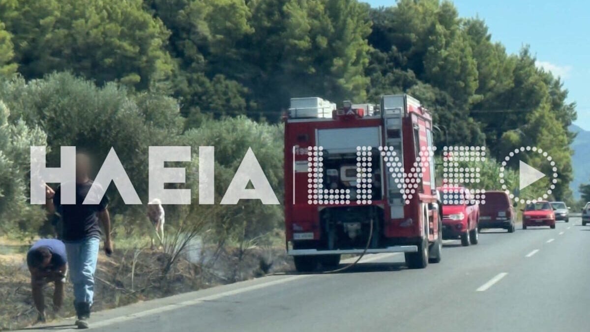 Φωτιές στη νότια Ηλεία σε Κάτω Σαμικό και Αγρίδι - Μεγάλη κινητοποίηση της πυροσβεστικής 1 Φωτιές στη νότια Ηλεία σε Κάτω Σαμικό και Αγρίδι – Μεγάλη κινητοποίηση της πυροσβεστικής