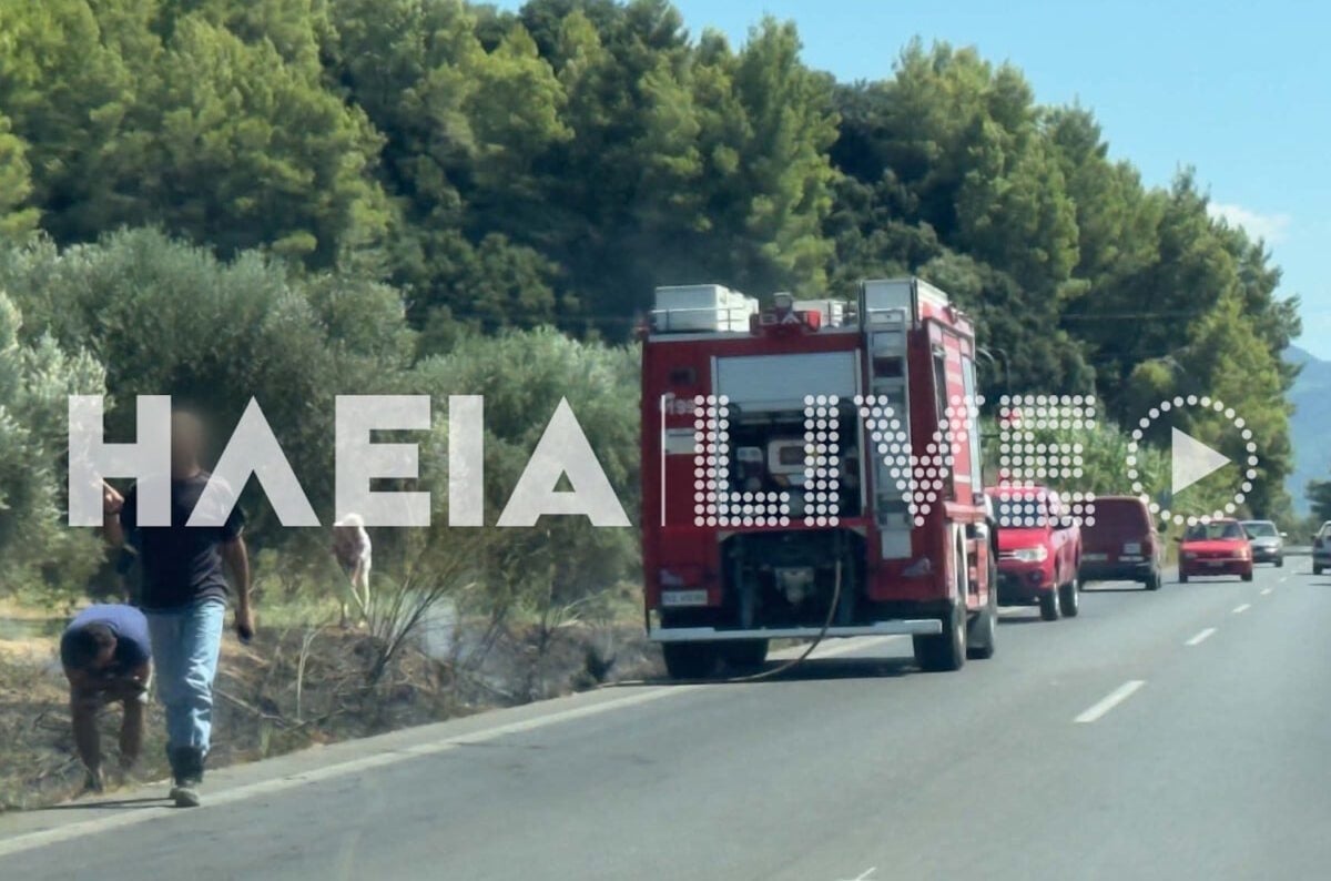 Φωτιές στη νότια Ηλεία σε Κάτω Σαμικό και Αγρίδι – Μεγάλη κινητοποίηση της πυροσβεστικής