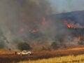 Φωτιά σε αγροτοδασική έκταση στην Ορεστιάδα – Στη μάχη και εναέρια μέσα