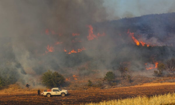 Φωτιά σε αγροτοδασική έκταση στην Ορεστιάδα – Στη μάχη και εναέρια μέσα