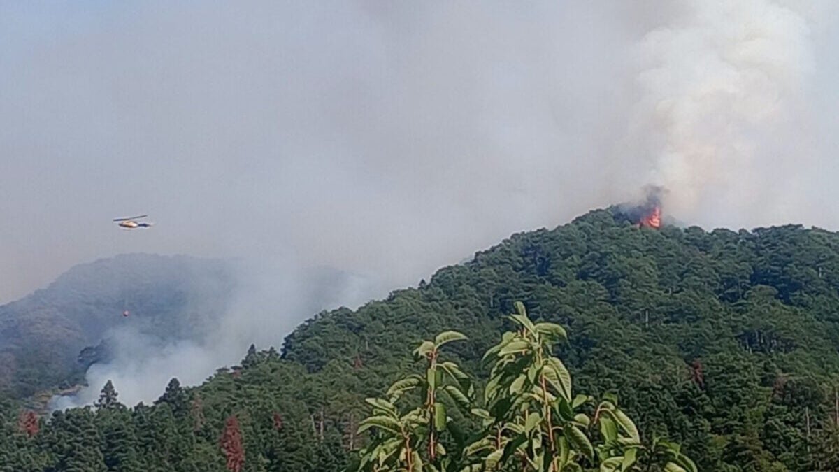 Κόνιτσα: Ανεξέλεγκτη φωτιά στην Τραπεζίτσα – Μάχη των πυροσβεστικών δυνάμεων 1 Κόνιτσα: Ανεξέλεγκτη φωτιά στην Τραπεζίτσα – Μάχη των πυροσβεστικών δυνάμεων