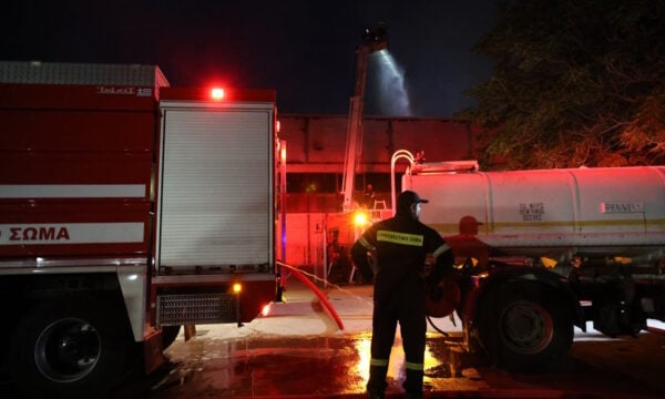 Φωτιά στα Ιωάννινα, στην περιοχή Κάτω Λίππα: Μεγάλη κινητοποίηση της πυροσβεστικής