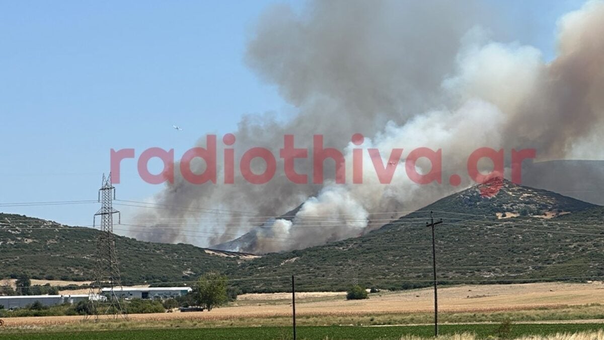 Φωτιά στον Μύτικα στη Θήβα σε χαμηλή βλάστηση: 8 αεροσκάφη στη μάχη 1 Φωτιά στον Μύτικα στη Θήβα σε χαμηλή βλάστηση: 8 αεροσκάφη στη μάχη