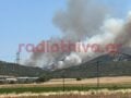 Φωτιά στον Μύτικα στη Θήβα σε χαμηλή βλάστηση: 8 αεροσκάφη στη μάχη