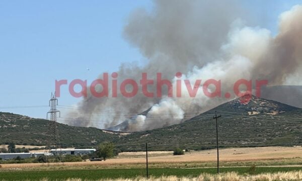 Φωτιά στον Μύτικα στη Θήβα σε χαμηλή βλάστηση: 8 αεροσκάφη στη μάχη