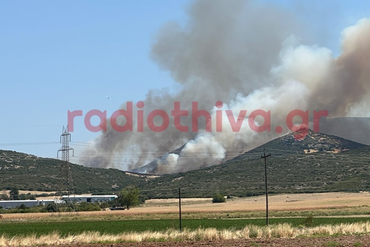 Φωτιά στον Μύτικα στη Θήβα σε χαμηλή βλάστηση: 8 αεροσκάφη στη μάχη