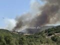 Η φωτιά στον Μύτικα Θήβας ξεκίνησε από εργασίες καθαρισμού με καταστροφέα σε φωτοβολταϊκό πάρκο: Δύο συλλήψεις