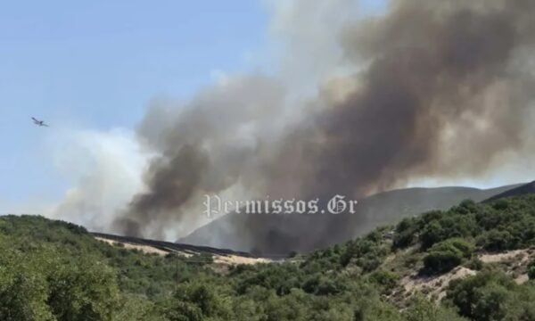 Η φωτιά στον Μύτικα Θήβας ξεκίνησε από εργασίες καθαρισμού με καταστροφέα σε φωτοβολταϊκό πάρκο: Δύο συλλήψεις