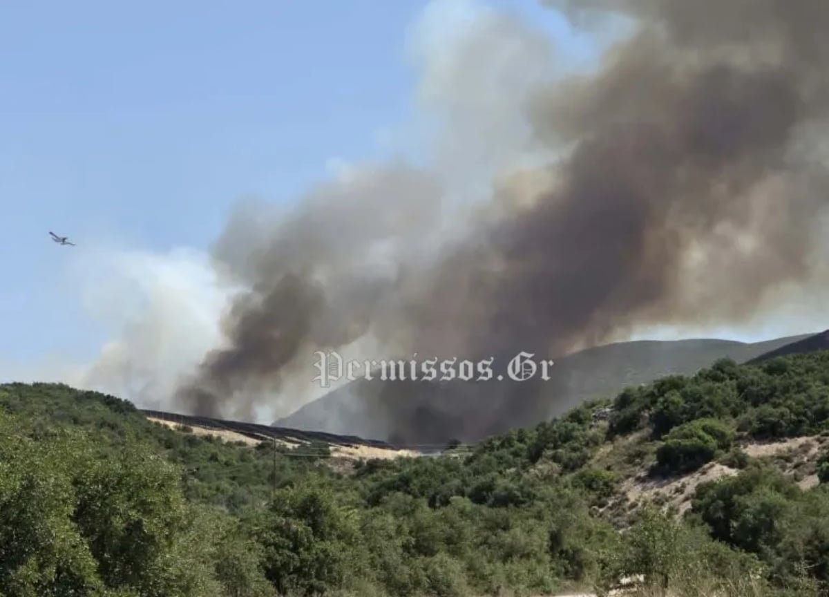 Η φωτιά στον Μύτικα Θήβας ξεκίνησε από εργασίες καθαρισμού με καταστροφέα σε φωτοβολταϊκό πάρκο: Δύο συλλήψεις
