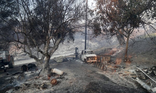 Πυρκαγιές στην Ευρώπη: Πάνω από 5,4 εκατ. στρέμματα έγιναν στάχτη φέτος το καλοκαίρι – Τι έδειξε το σύστημα Effis