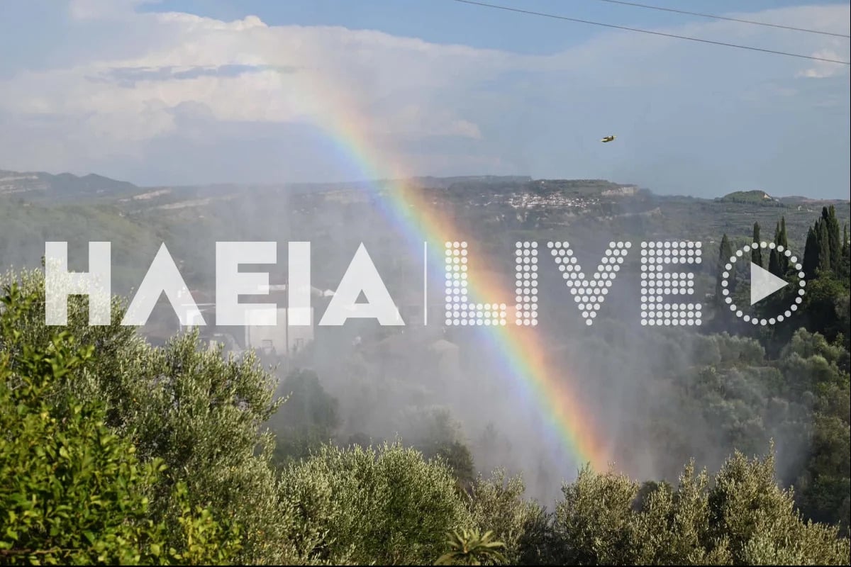 Φωτιά στην Ηλεία, στην περιοχή Χειμαδιό: Ρίψεις νερού από 3 αεροσκάφη 13 Φωτιά στην Ηλεία, στην περιοχή Χειμαδιό: Ρίψεις νερού από 3 αεροσκάφη