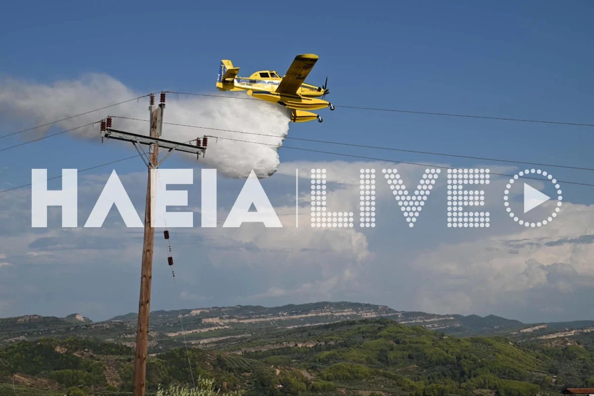Φωτιά στην Ηλεία, στην περιοχή Χειμαδιό: Ρίψεις νερού από 3 αεροσκάφη 11 Φωτιά στην Ηλεία, στην περιοχή Χειμαδιό: Ρίψεις νερού από 3 αεροσκάφη