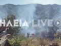 Φωτιά στην Ηλεία στην περιοχή Χειμαδιό: Ρίψεις νερού από 3 αεροσκάφη