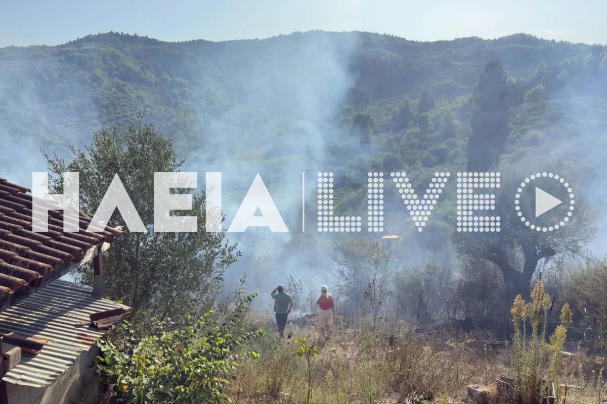 Φωτιά στην Ηλεία, στην περιοχή Χειμαδιό: Ρίψεις νερού από 3 αεροσκάφη