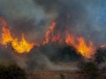 Χειροπέδες σε 53χρονο για φωτιά από αμέλεια στο Άγιο Όρος