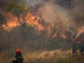 Φωτιές: Σε Red Code Αττική, Εύβοια, Κρήτη και άλλες 2 περιοχές το Σάββατο – Ποιες περιοχές βρίσκονται σε πορτοκαλί συναγερμό