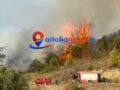 Φωτιά στο Μεσολόγγι στο πεδίο βολής – Ισχυρές δυνάμεις στο σημείο