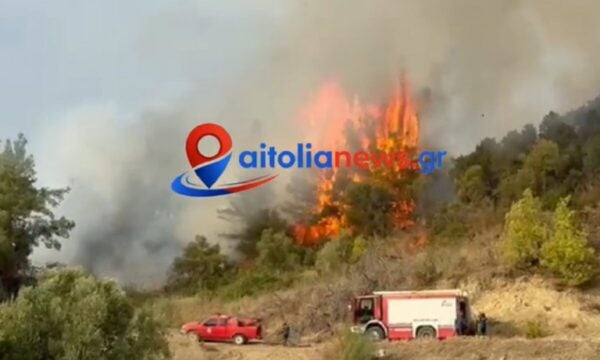 Φωτιά στο Μεσολόγγι στο πεδίο βολής – Ισχυρές δυνάμεις στο σημείο