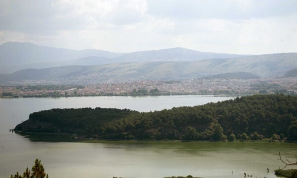 Φωτιά στο Νησί της λίμνης Ιωαννίνων – Δυνάμεις μεταβαίνουν με καραβάκια και πλατφόρμα