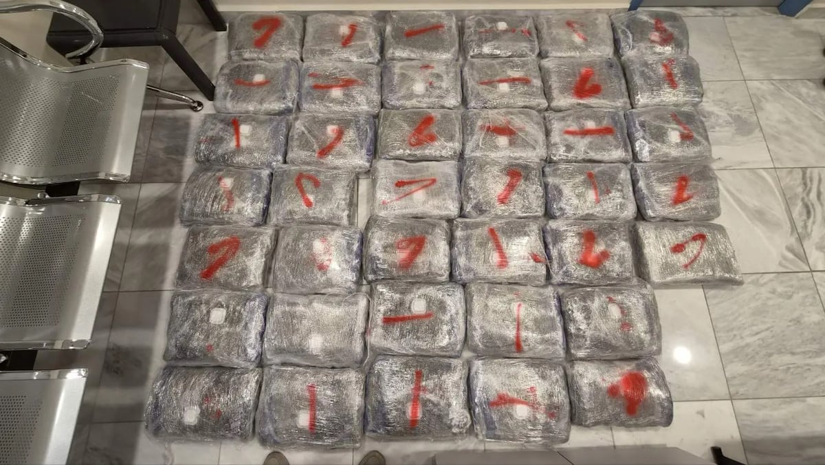 Γρεβενά: 24χρονος έκρυβε 46 κιλά κάνναβη στο πορτμπαγκάζ αυτοκινήτου – Βίντεο και φωτογραφίες 2 Γρεβενά: 24χρονος έκρυβε 46 κιλά κάνναβη στο πορτμπαγκάζ αυτοκινήτου – Βίντεο και φωτογραφίες