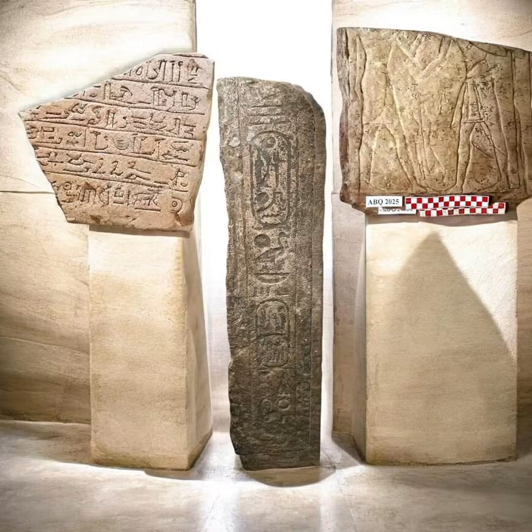 Αρχαιολόγοι ανακάλυψαν άλογο 3.000 ετών σε αρχαίο στρατιωτικό οχυρό στην Αίγυπτο 9 3,000-year-old horse burial and Ramesses II stela found at ancient Egyptian fortress