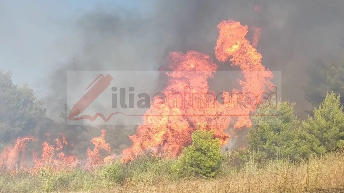Φωτιά στα Διάσελλα Ηλείας: Οι φλόγες απειλούν σπίτια, σηκώθηκαν 6 αεροσκάφη 1 Φωτιά στα Διάσελλα Ηλείας: Οι φλόγες απειλούν σπίτια, σηκώθηκαν 6 αεροσκάφη