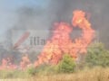 Φωτιά στα Διάσελλα Ηλείας: Οι φλόγες απειλούν σπίτια, σηκώθηκαν 6 αεροσκάφη
