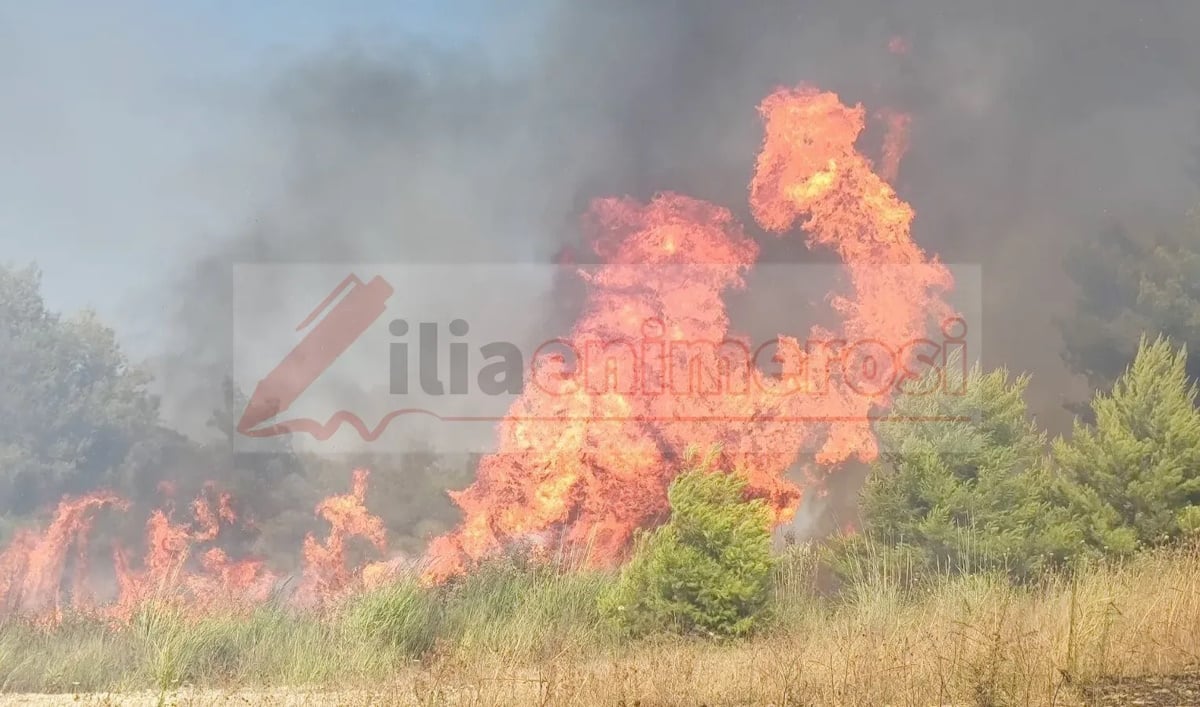 Φωτιά στα Διάσελλα Ηλείας: Οι φλόγες απειλούν σπίτια, σηκώθηκαν 6 αεροσκάφη