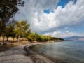 Καιρός – Μαρουσάκης: Ζέστη με 32άρια το επόμενο τριήμερο – Φθινόπωρο με πτώση της θερμοκρασίας από την επόμενη εβδομάδα
