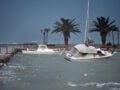 Καιρός αύριο: Βροχές στις δυτικές περιοχές της χώρας, μικρή άνοδος της θερμοκρασίας και ισχυροί άνεμοι