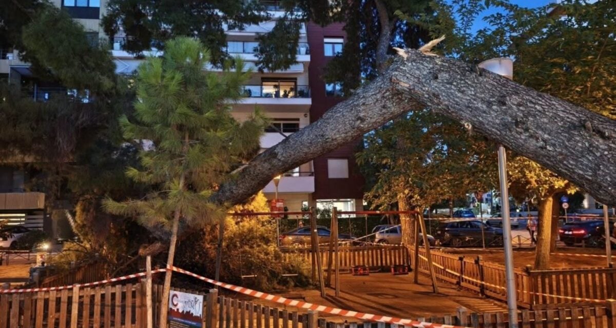 Θεσσαλονίκη: Δέντρο έπεσε και τραυμάτισε μητέρα και τον 17 μηνών γιο της σε παιδική χαρά στην Καλαμαριά