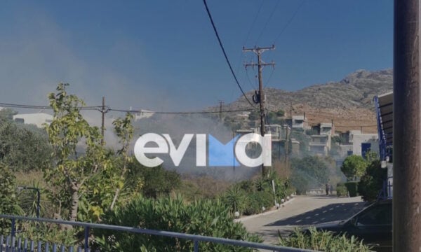 Φωτιά στην Κάρυστο: Μήνυμα 112 για ετοιμότητα
