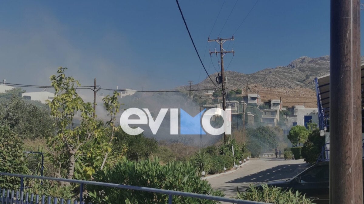 Φωτιά στην Κάρυστο: Μήνυμα 112 για ετοιμότητα