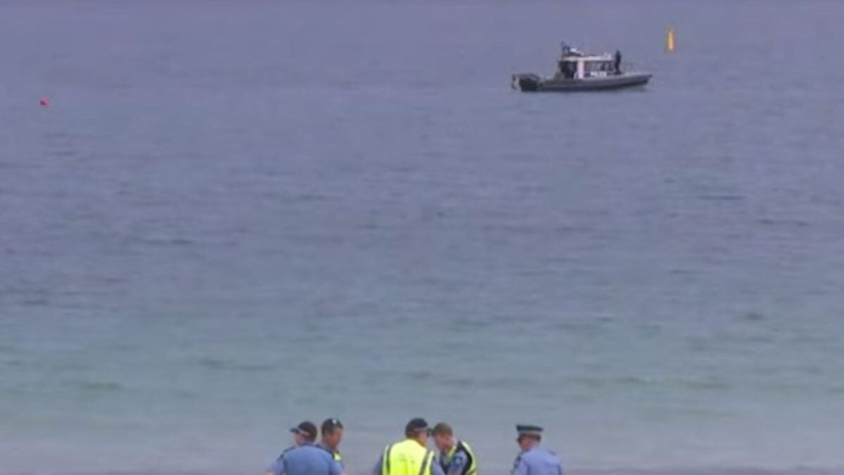 Αυστραλία: Νεκρός άνδρας από επίθεση καρχαρία – Τον κατασπάραξε, τον πέταξε σαν ψάρι 2 Αυστραλία: Νεκρός άνδρας από επίθεση καρχαρία – Τον κατασπάραξε, τον πέταξε σαν ψάρι