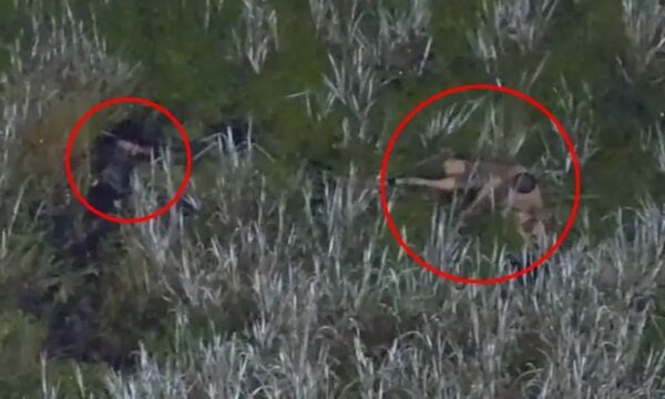 Φλόριντα: Πατέρας έριξε τα παιδιά του σε βάλτο με αλιγάτορες για να ξεφύγει από την αστυνομία – Βίντεο