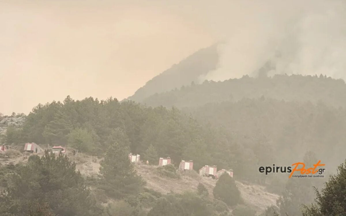 Μαίνεται η φωτιά στην Κόνιτσα: Το μέτωπο πλησιάζει την πόλη, πυροσβεστικά πριν από τα σπίτια 8 Φωτιά στην Κόνιτσα
