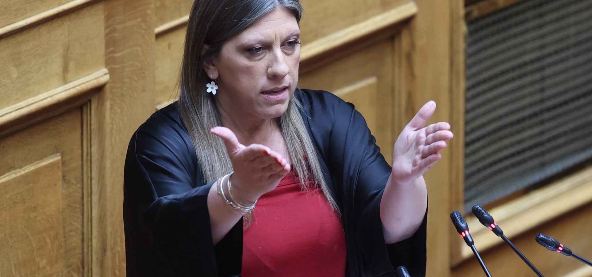 Ζωή Κωνσταντοπούλου: Το «αντίο» στον Γιώργο Μαζωνάκη – «Υποχρέωσή μας να μη συσκοτισθεί ο θάνατός του» 5 Ζωή Κωνσταντοπούλου: Το «αντίο» στον Γιώργο Μαζωνάκη – «Υποχρέωσή μας να μη συσκοτισθεί ο θάνατός του»