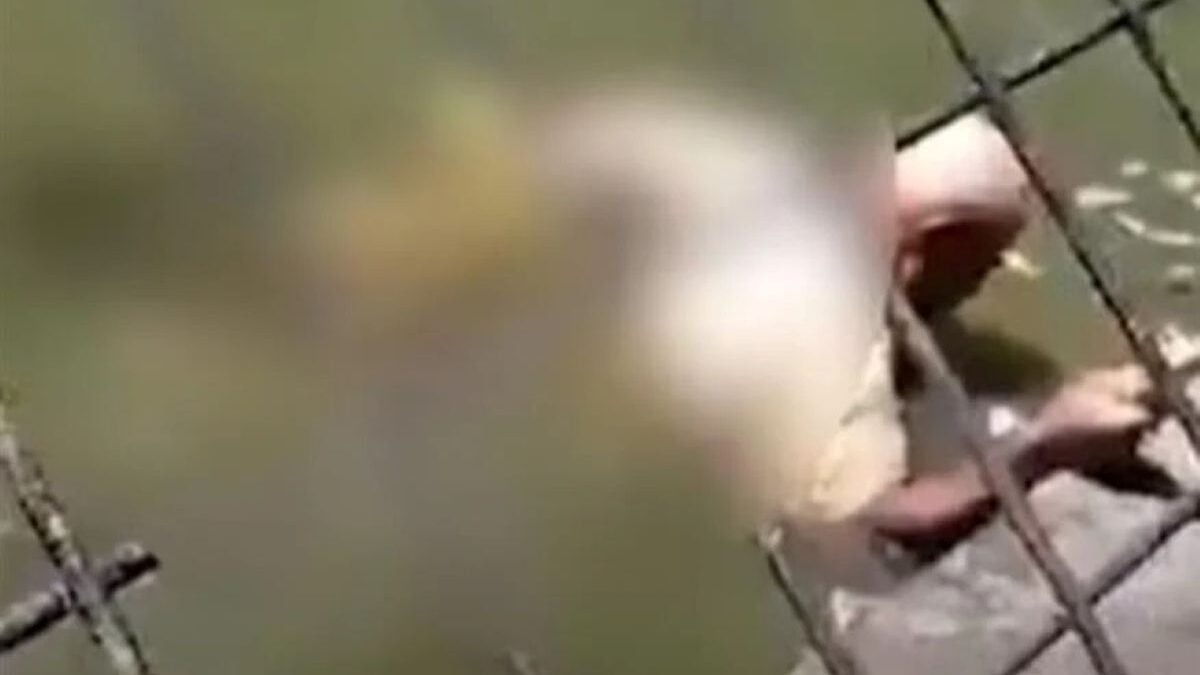 Κροκόδειλος επιτέθηκε σε φροντιστή πάρκου μπροστά στους επισκέπτες – Παγιδευμένος για περίπου μία ώρα στα σαγόνια του κροκόδειλου 1 Κροκόδειλος επιτέθηκε σε φροντιστή πάρκου μπροστά στους επισκέπτες – Παγιδευμένος για περίπου μία ώρα στα σαγόνια του κροκόδειλου